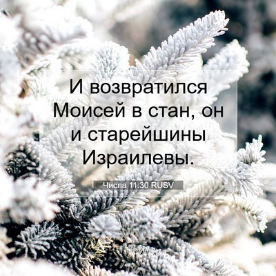 Picture 07 - Числа 11:30 RUSV - И возвратился Моисей в - Bible Verse Picture