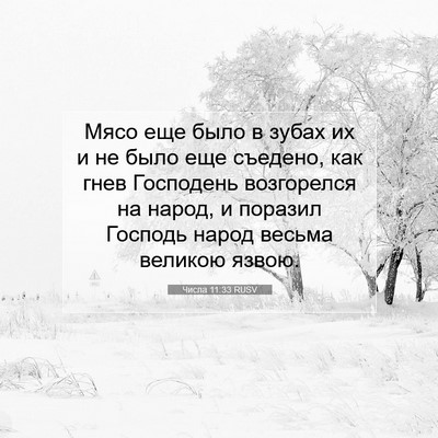 Picture 07 - Числа 11:33 RUSV - Мясо еще было в зубах их и - Bible Verse Picture
