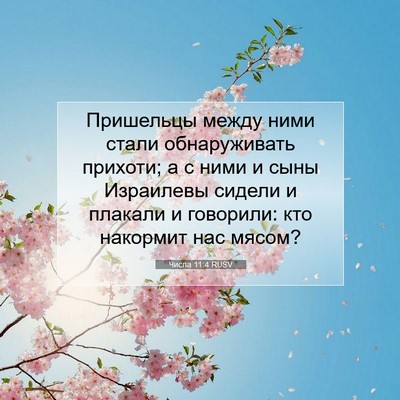 Picture 07 - Числа 11:4 RUSV - Пришельцы между ними стали - Bible Verse Picture
