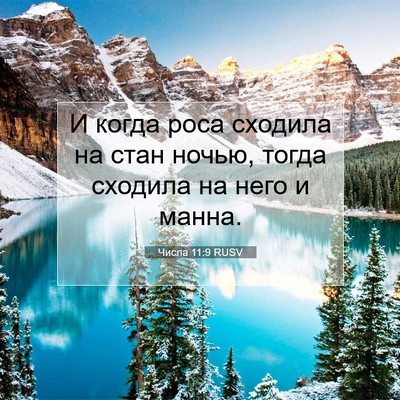 Picture 07 - Числа 11:9 RUSV - И когда роса сходила на - Bible Verse Picture