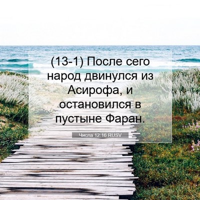 Picture 07 - Числа 12:16 RUSV - (13-1) После сего народ - Bible Verse Picture
