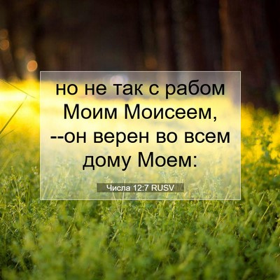 Picture 07 - Числа 12:7 RUSV - но не так с рабом Моим - Bible Verse Picture