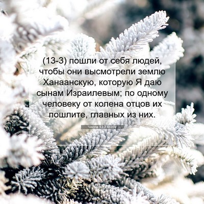 Picture 07 - Числа 13:2 RUSV - (13-3) пошли от себя людей, - Bible Verse Picture