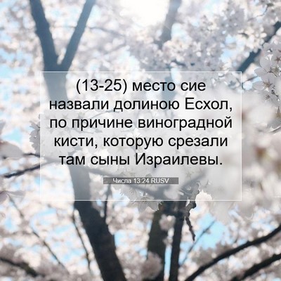 Picture 07 - Числа 13:24 RUSV - (13-25) место сие назвали - Bible Verse Picture