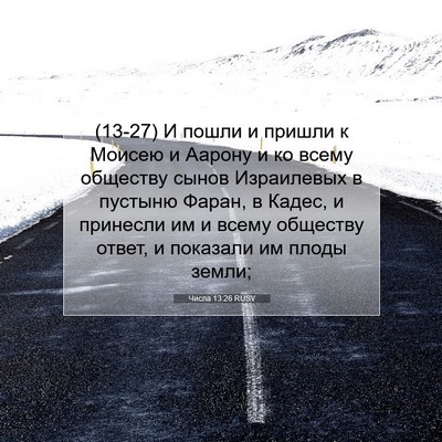 Picture 07 - Числа 13:26 RUSV - (13-27) И пошли и пришли к - Bible Verse Picture