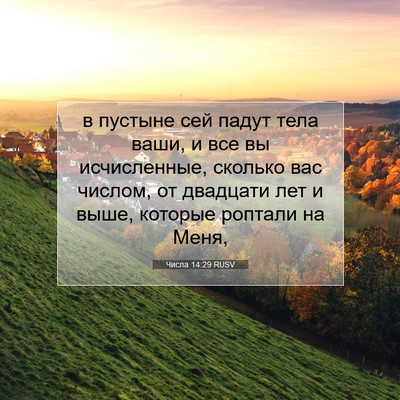 Picture 07 - Числа 14:29 RUSV - в пустыне сей падут тела - Bible Verse Picture