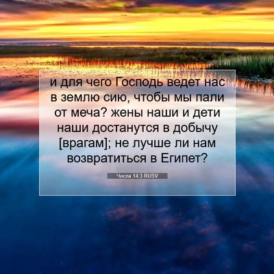 Picture 07 - Числа 14:3 RUSV - и для чего Господь ведет - Bible Verse Picture