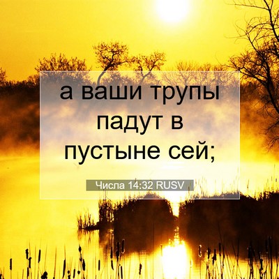 Picture 07 - Числа 14:32 RUSV - а ваши трупы падут в - Bible Verse Picture