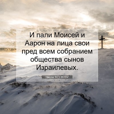 Picture 07 - Числа 14:5 RUSV - И пали Моисей и Аарон на - Bible Verse Picture