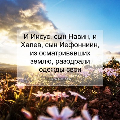 Picture 07 - Числа 14:6 RUSV - И Иисус, сын Навин, и Халев, - Bible Verse Picture