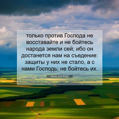 Picture 07 - Числа 14:9 RUSV - только против Господа не - Bible Verse Picture