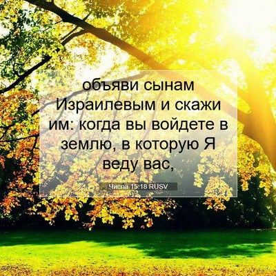 Picture 07 - Числа 15:18 RUSV - объяви сынам Израилевым и - Bible Verse Picture