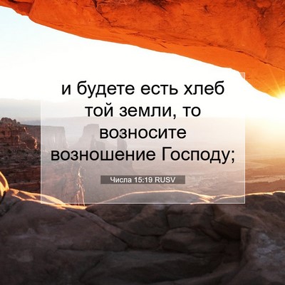 Picture 07 - Числа 15:19 RUSV - и будете есть хлеб той - Bible Verse Picture