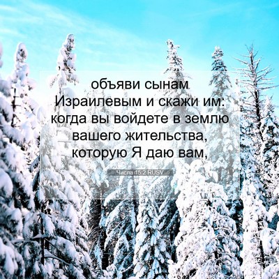 Picture 07 - Числа 15:2 RUSV - объяви сынам Израилевым и - Bible Verse Picture