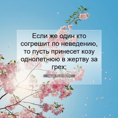 Picture 07 - Числа 15:27 RUSV - Если же один кто согрешит - Bible Verse Picture