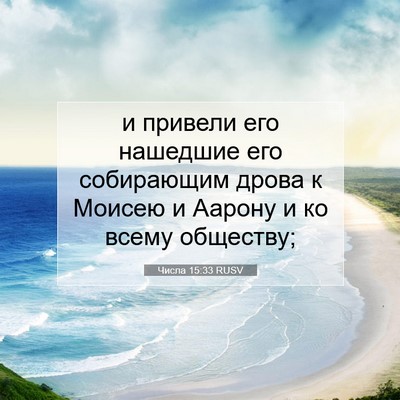 Picture 07 - Числа 15:33 RUSV - и привели его нашедшие его - Bible Verse Picture