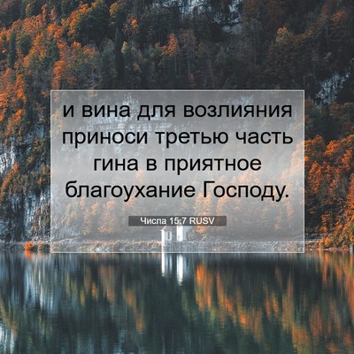 Picture 07 - Числа 15:7 RUSV - и вина для возлияния - Bible Verse Picture