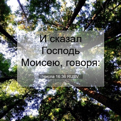 Picture 07 - Числа 16:36 RUSV - И сказал Господь Моисею, - Bible Verse Picture