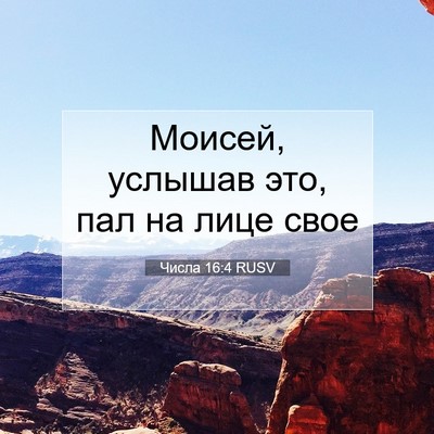 Picture 07 - Числа 16:4 RUSV - Моисей, услышав это, пал на - Bible Verse Picture