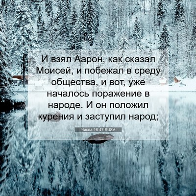 Picture 07 - Числа 16:47 RUSV - И взял Аарон, как сказал - Bible Verse Picture