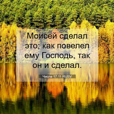 Picture 07 - Числа 17:11 RUSV - Моисей сделал это; как - Bible Verse Picture