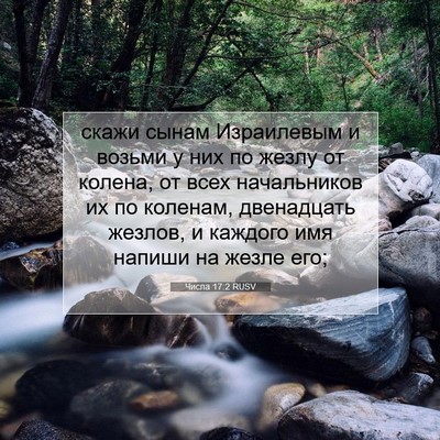 Picture 07 - Числа 17:2 RUSV - скажи сынам Израилевым и - Bible Verse Picture
