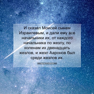 Picture 07 - Числа 17:6 RUSV - И сказал Моисей сынам - Bible Verse Picture