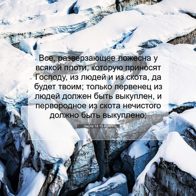 Picture 07 - Числа 18:15 RUSV - Все, разверзающее ложесна - Bible Verse Picture
