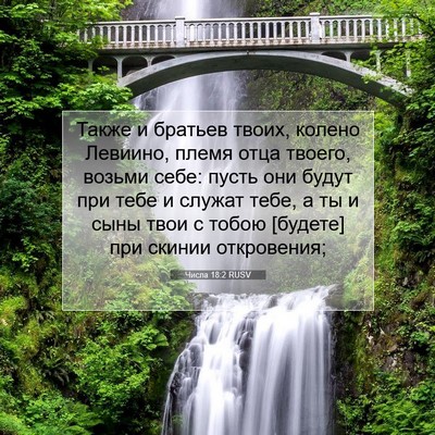 Picture 07 - Числа 18:2 RUSV - Также и братьев твоих, - Bible Verse Picture