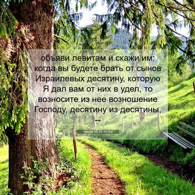 Picture 07 - Числа 18:26 RUSV - объяви левитам и скажи им: - Bible Verse Picture