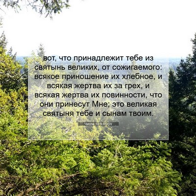 Picture 07 - Числа 18:9 RUSV - вот, что принадлежит тебе - Bible Verse Picture