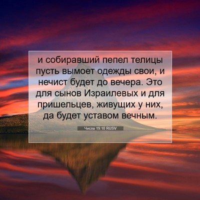 Picture 07 - Числа 19:10 RUSV - и собиравший пепел телицы - Bible Verse Picture