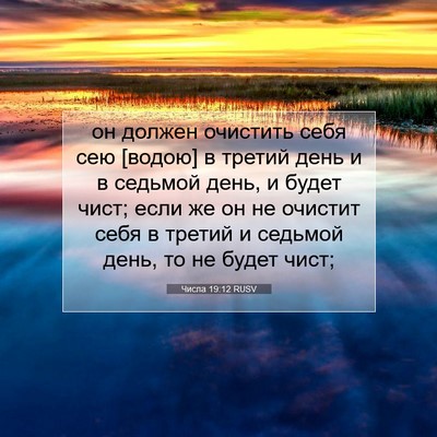 Picture 07 - Числа 19:12 RUSV - он должен очистить себя - Bible Verse Picture