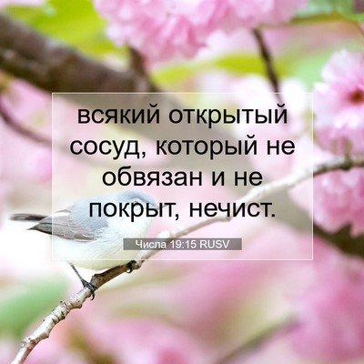 Picture 07 - Числа 19:15 RUSV - всякий открытый сосуд, - Bible Verse Picture