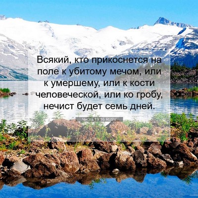 Picture 07 - Числа 19:16 RUSV - Всякий, кто прикоснется на - Bible Verse Picture