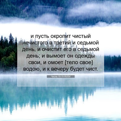 Picture 07 - Числа 19:19 RUSV - и пусть окропит чистый - Bible Verse Picture