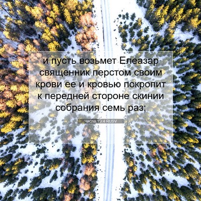Picture 07 - Числа 19:4 RUSV - и пусть возьмет Елеазар - Bible Verse Picture