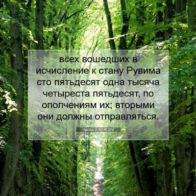 Picture 07 - Числа 2:16 RUSV - всех вошедших в исчисление - Bible Verse Picture