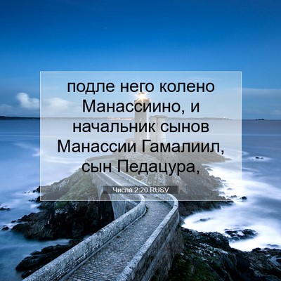Picture 07 - Числа 2:20 RUSV - подле него колено - Bible Verse Picture