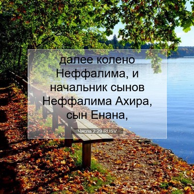 Picture 07 - Числа 2:29 RUSV - далее колено Неффалима, и - Bible Verse Picture