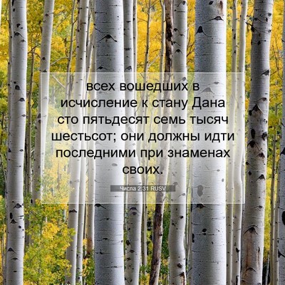 Picture 07 - Числа 2:31 RUSV - всех вошедших в исчисление - Bible Verse Picture
