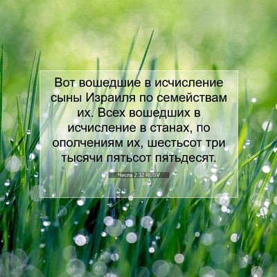 Picture 07 - Числа 2:32 RUSV - Вот вошедшие в исчисление - Bible Verse Picture