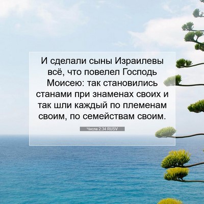 Picture 07 - Числа 2:34 RUSV - И сделали сыны Израилевы - Bible Verse Picture