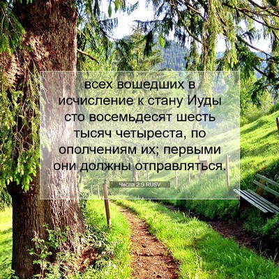 Picture 07 - Числа 2:9 RUSV - всех вошедших в исчисление - Bible Verse Picture
