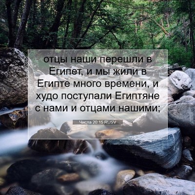 Picture 07 - Числа 20:15 RUSV - отцы наши перешли в Египет, - Bible Verse Picture