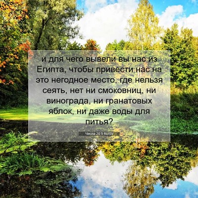 Picture 07 - Числа 20:5 RUSV - и для чего вывели вы нас из - Bible Verse Picture