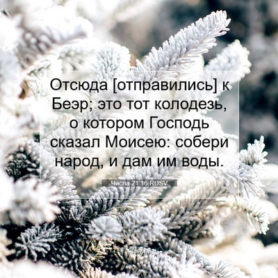 Picture 07 - Числа 21:16 RUSV - Отсюда [отправились] к - Bible Verse Picture