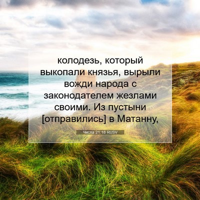 Picture 07 - Числа 21:18 RUSV - колодезь, который выкопали - Bible Verse Picture