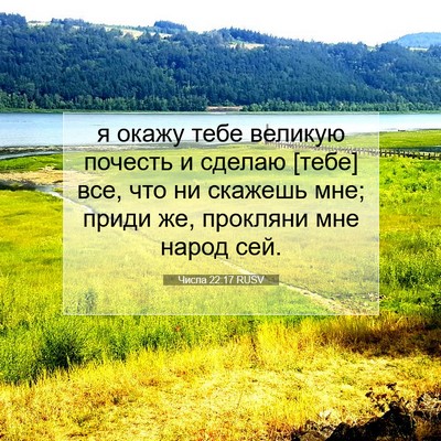 Picture 07 - Числа 22:17 RUSV - я окажу тебе великую - Bible Verse Picture