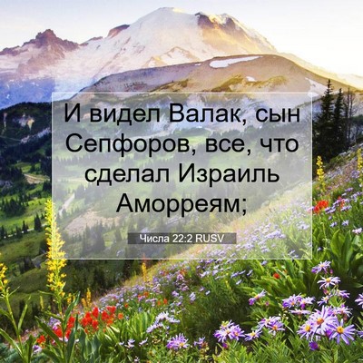 Picture 07 - Числа 22:2 RUSV - И видел Валак, сын - Bible Verse Picture